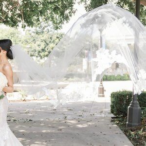Bel Aire Bridal Veil